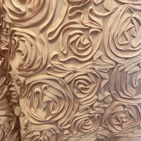 New Without Tags…Boutique brand Floral 3D Pink Skirt - Picture 2 of 5